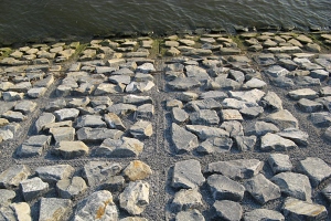 鳴瀬川野蒜地区左岸03