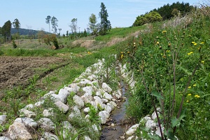 キトラ古墳ホタル水路03